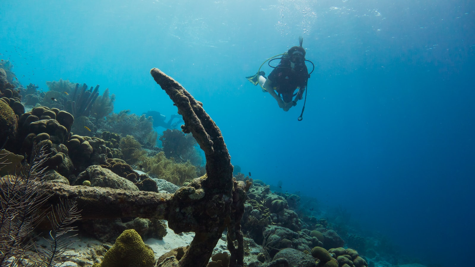 Best Dive Sites for Beginners in 2026: Where to Log Your First 20 Dives