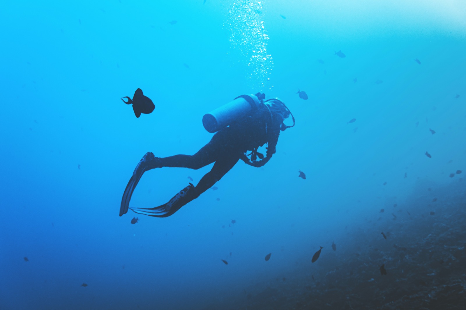 MacDive Alternative: What's True, What's Rumor, and How to Switch